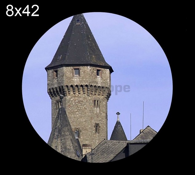 Бинокль Arsenal 8x42 DCF (WPM) - Фото 4