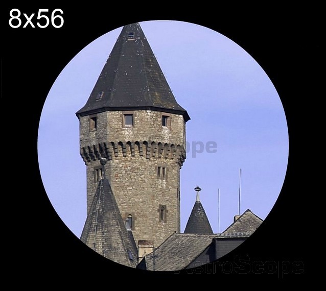 Бинокль Arsenal 8x42 DCF (WPM) - Фото 5