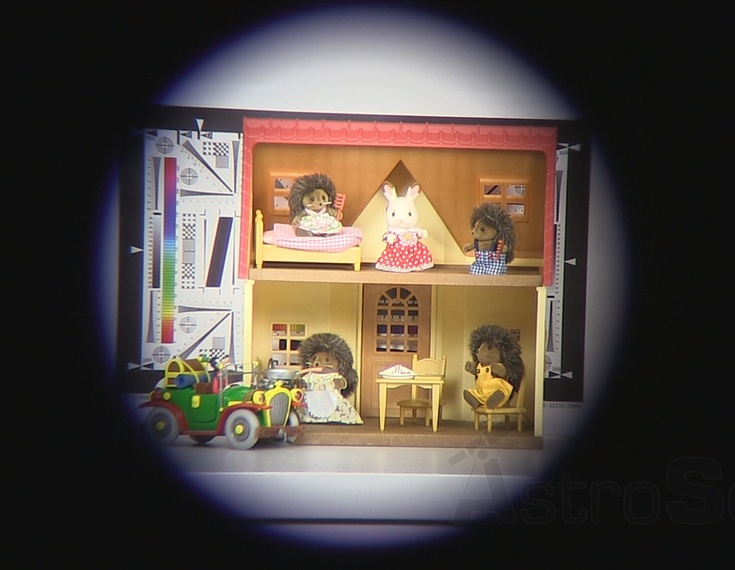 Бинокль Alpen Shasta Ridge 10x42 - Фото 31