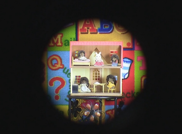 Бинокль Alpen Pro 7-21x40 Zoom - Фото 21