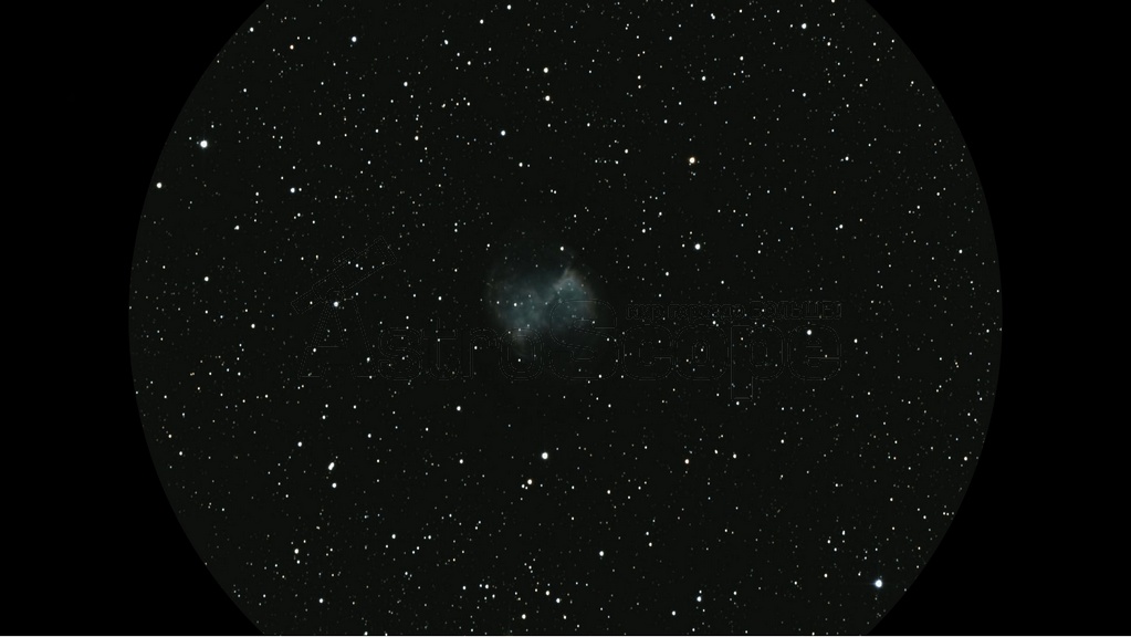 Телескоп Arsenal-GSO 8" Dobson Deluxe - Фото 55